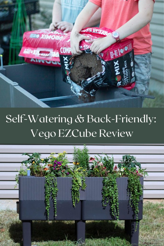 Two-photo collage showing soil being poured into a raised EZCube garden bed, and the fully planted self-watering garden overflowing with herbs and colorful flowers.
