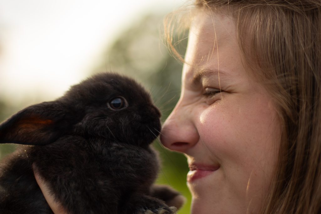 Close-up of a smiling girl holding a fluffy black rabbit nose-to-nose during golden hour.