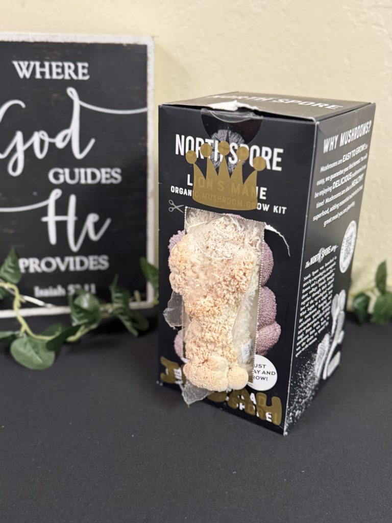 Lion’s mane mushroom growing in a North Spore box with a gold paper crown and nametag that reads “Judah”