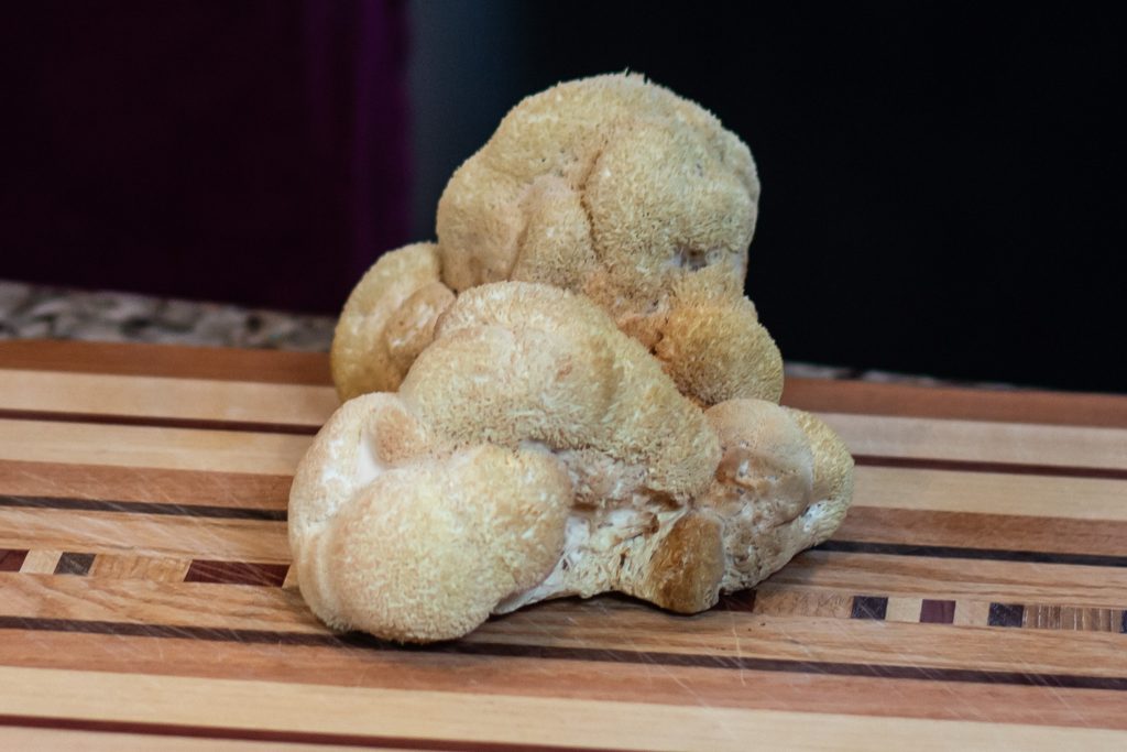 A whole lion’s mane mushroom sitting on a wooden cutting board.